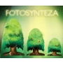 FOTOSYNTEZA